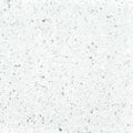 Terrazzo tegel Maxxi Natuursteen - Mat - 60x60 cm - Wit/grijs - MX01
