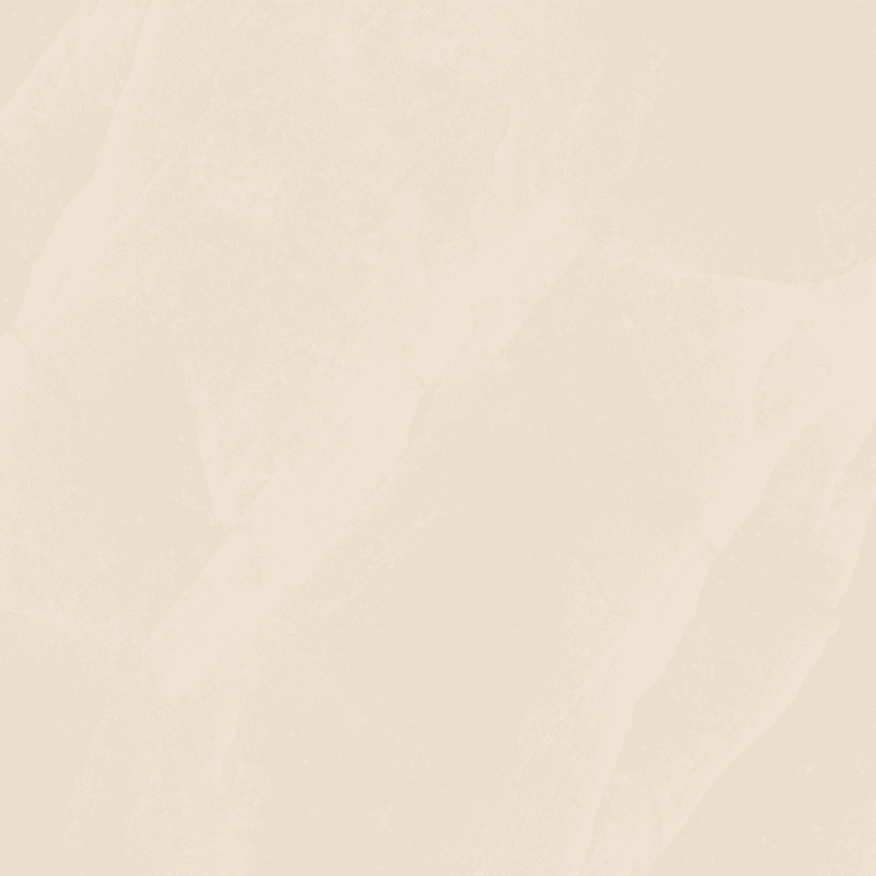 Wand- en vloertegel Falcon – Beige – Mat – 120 x 120-1