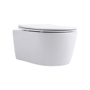 Badovo Pro Compact Toiletset – Inclusief Toiletbril – Glanzend Wit – 49 cm