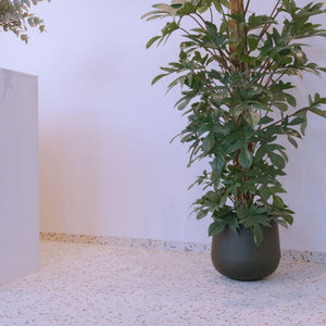 Terrazzo Tegel Fiorano | Mat | 60x60 cm Wit/beige